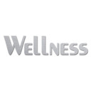 Aluminiowe litery z dibondu - efekt srebra - Wellness