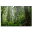 Canvasbillede, Tropisk jungle