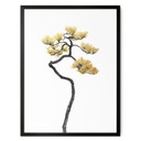 Plakat Bonsai w równowadze - Amini 