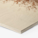 Hexagon Hout Pampasgras