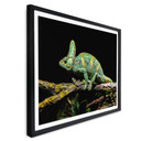 Plakat Brown - Kameleon
