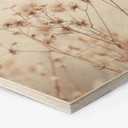 Hexagon Hout Lovely Pastels