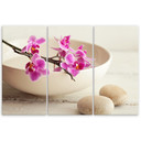 3 stykke lærredsprint, Orchid Bowl Flowers Beige