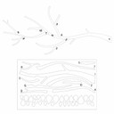 Dekoracja ścienna gałąź z liśćmi | Naturalna dekoracja - MDF natura