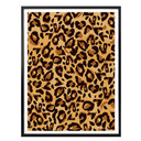 Plakat Leopard - Próbki