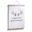 Plakat - Expecto Patronum