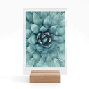 Bordskærm Agave 02