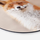 Tableau en alu-Dibond van Duijn - Renard content - Rond