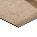 Fototapet Stilleben med efterårsblade i beige - Tokarev – print på aluminium (Alu-Dibond)