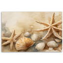 Leinwandbild Meeresmuscheln und Seesterne Acryl