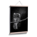 Poster Wilianto - Starinh Owl