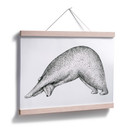 Plakat Kvilis - Yoga Bear 01