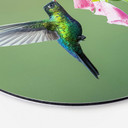 Tableau sur alu-Dibond rond van Duijn - Colibri dans la magie des fleurs roses