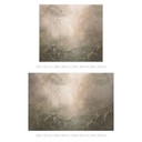 Jungle Fotobehang Mystiek regenwoud in de mist - Ms Tiff