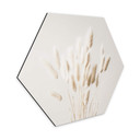 Hexagone - Alu-Dibond 1X Studio - Herbes séchées