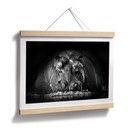 Poster Golob - Hippopotame qui Souffle | Photographie Animalière Noir et Blanc - 30x24 cm