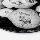 Tableau sur alu-Dibond rond Sisi & Seb - Pivoines