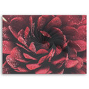 Canvasbillede, Makro blomst