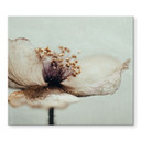 Dækplade til komfur Delikate tørrede blomster i beige - Treechild