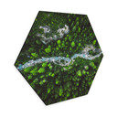 Hexagone - alu-Dibond Murko - Mère Nature