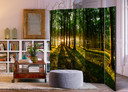 Screen room divider - Morgen i skoven, 3-delt