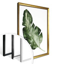 Plakat Kvilis - Banana Leaf