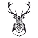 Sticker mural - Bois de cerf