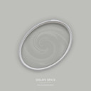 Pintura interior gris mate I Shady Spice | crear un ambiente elegante y moderno | THE COLOR KITCHEN