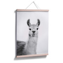 Plakat Sisi & Seb - Happy Lama