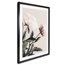 Plakat 1X Studio - Wspaniałe piwonie