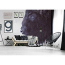 Livingwalls papier peint photo ARTist Black Buffalo