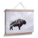 Plakat Beáta - Żubr