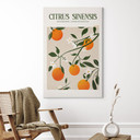 Obraz na płótnie Boho Drzewo pomarańczowe - Citrus Sinensis - Tunaboylu