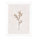 Plakat Kwiaty Ilustracja - Forget-me-not - Goed Blauw