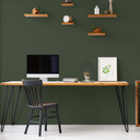 Pintura interior verde semimate I Zippy Zuchini | Crear armonía en la habitación | LA COCINA DE COLO