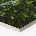 Hexagone - Bois Murko - Mère Nature
