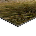 Wandbild Strandpanorama - Panorama - Alu-Dibond