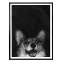 Plakat Graves - Sausage Fox Corgi