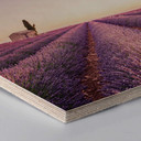 Hexagon - Birketræ - Lavendel
