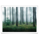 Plakat Lindsten - W lesie