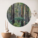 Naklejka na ścianę z lasem eukaliptusowym w Yarra Ranges - Colombo - Round
