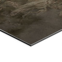 Wandbild Wald mit Blick in die Baumwipfel - Ms Tiff - Alu-Dibond