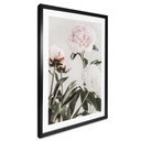 Plakat 1X Studio - Trzy kwitnące piwonie