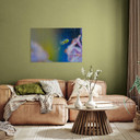 Tableau sur verre Brown - Araignée mignonne