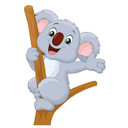 Wallsticker - Cute Koala