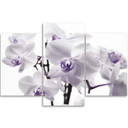 3 stykke lærredsprint, Orchid Blossom Purple