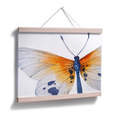 Plakat Kvilis - Butterfly 02