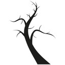 Sticker mural - Arbre Bicolore