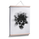 Plakat Grønkjær - Dahlia