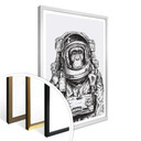 Plakat Space Monkey